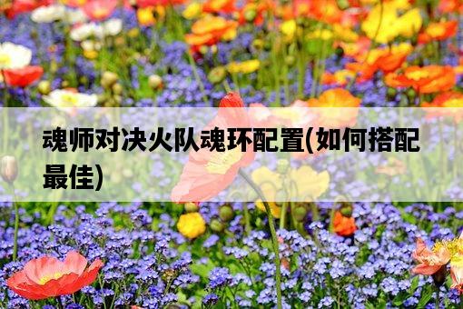 魂師對決火隊魂環配置，如何搭配最佳-圖1