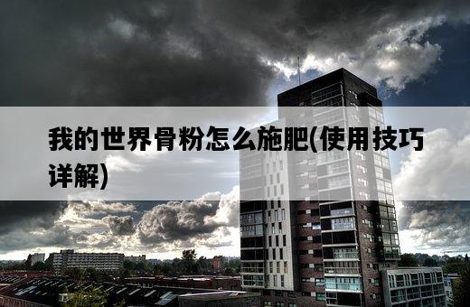 我的世界骨粉怎么施肥，使用技巧詳解-圖1
