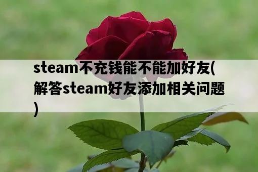 steam不充錢能不能加好友，解答steam好友添加相關問題-圖1