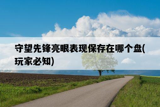 守望先鋒亮眼表現保存在哪個盤，玩家必知-圖1