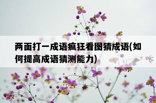 兩面打一成語瘋狂看圖猜成語，如何提高成語猜測能力-圖1