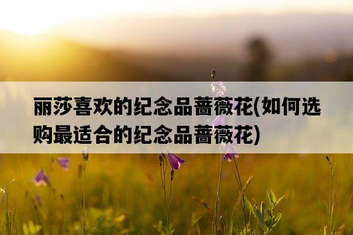 麗莎喜歡的紀念品薔薇花，如何選購最適合的紀念品薔薇花-圖1