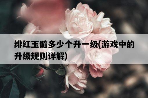 緋紅玉髓多少個升一級，游戲中的升級規則詳解-圖1