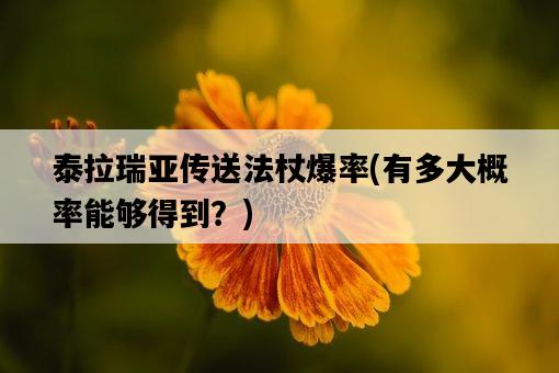 泰拉瑞亞傳送法杖爆率，有多大概率能夠得到？-圖1