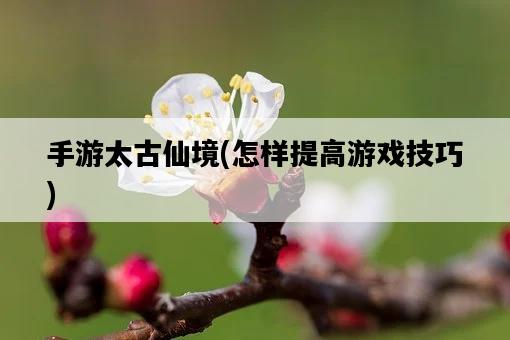 手游太古仙境，怎樣提高游戲技巧-圖1