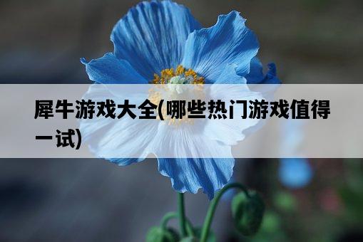 犀牛游戲大全，哪些熱門游戲值得一試-圖1