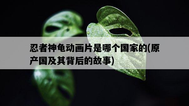 忍者神龜動畫片是哪個國家的，原產國及其背后的故事-圖1