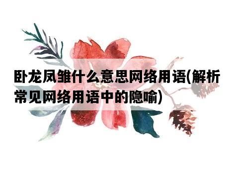 臥龍鳳雛什么意思網絡用語，解析常見網絡用語中的隱喻-圖1