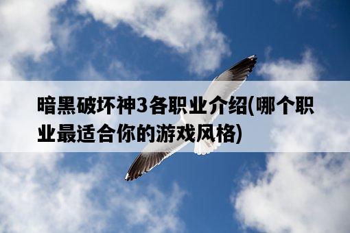 暗黑破壞神3各職業介紹，哪個職業最適合你的游戲風格-圖1