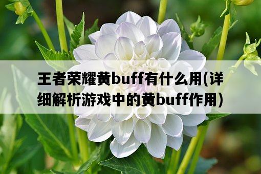 王者榮耀黃buff有什么用，詳細解析游戲中的黃buff作用-圖1