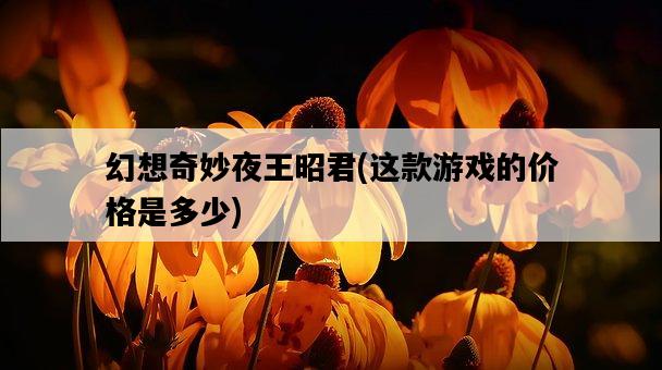 幻想奇妙夜王昭君，這款游戲的價格是多少-圖1