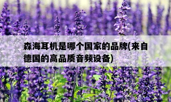 森海耳機是哪個國家的品牌，來自德國的高品質音頻設備-圖1