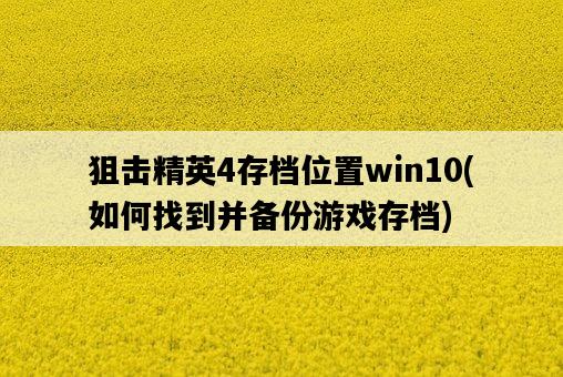 狙擊精英4存檔位置win10，如何找到并備份游戲存檔-圖1