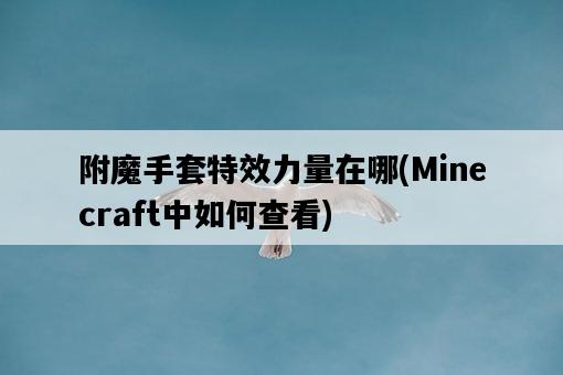 附魔手套特效力量在哪，Minecraft中如何查看-圖1