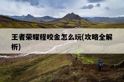 王者榮耀程咬金怎么玩，攻略全解析-圖1