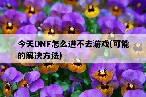 今天DNF怎么進不去游戲，可能的解決方法-圖1