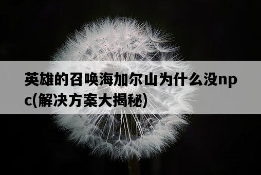 英雄的召喚海加爾山為什么沒npc，解決方案大揭秘-圖1