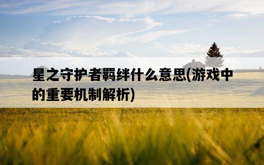 星之守護者羈絆什么意思，游戲中的重要機制解析-圖1