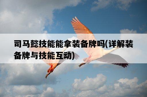 司馬懿技能能拿裝備牌嗎，詳解裝備牌與技能互動-圖1