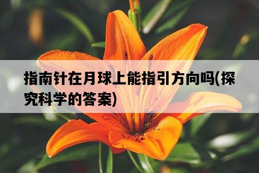 指南針在月球上能指引方向嗎，探究科學的答案-圖1