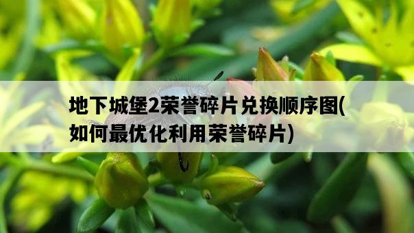 地下城堡2榮譽碎片兌換順序圖，如何最優化利用榮譽碎片-圖1
