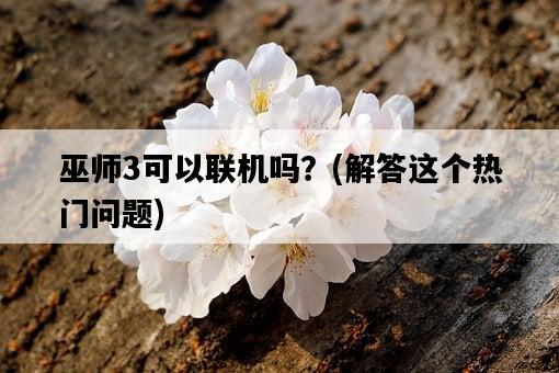 巫師3可以聯機嗎？，解答這個熱門問題-圖1