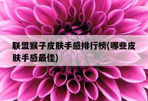 聯盟猴子皮膚手感排行榜，哪些皮膚手感最佳-圖1