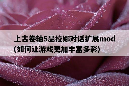 上古卷軸5瑟拉娜對話擴展mod，如何讓游戲更加豐富多彩-圖1