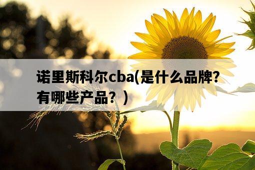 諾里斯科爾cba，是什么品牌？有哪些產品？-圖1