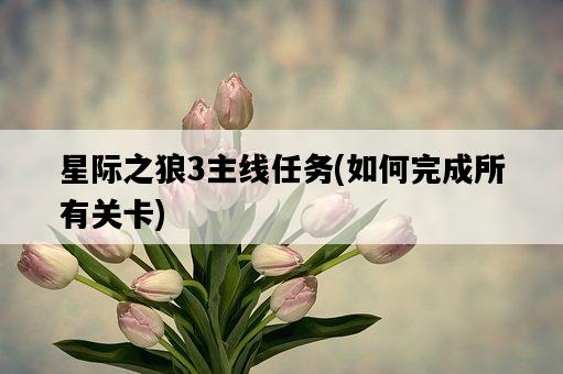 星際之狼3主線任務，如何完成所有關卡-圖1