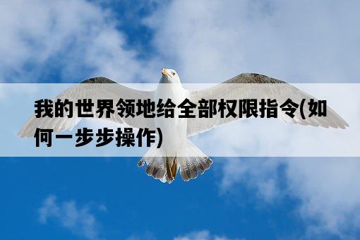 我的世界領地給全部權限指令，如何一步步操作-圖1