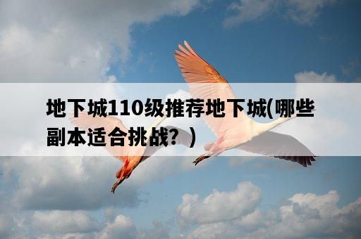 地下城110級推薦地下城，哪些副本適合挑戰？-圖1