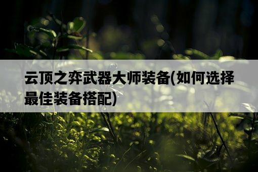 云頂之弈武器大師裝備，如何選擇最佳裝備搭配-圖1