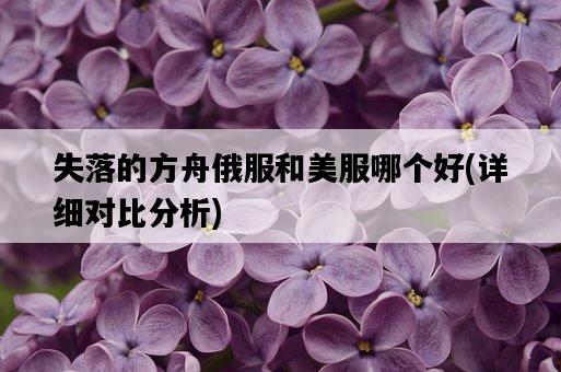 失落的方舟俄服和美服哪個好，詳細對比分析-圖1