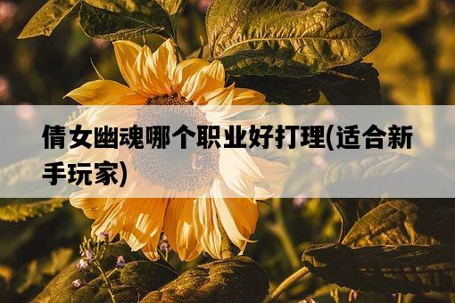 倩女幽魂哪個職業好打理，適合新手玩家-圖1