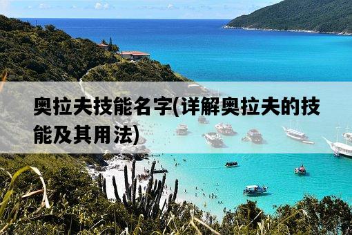 奧拉夫技能名字，詳解奧拉夫的技能及其用法-圖1