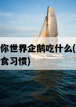 新版迷你世界企鵝吃什么，詳解企鵝的飲食習慣-圖1