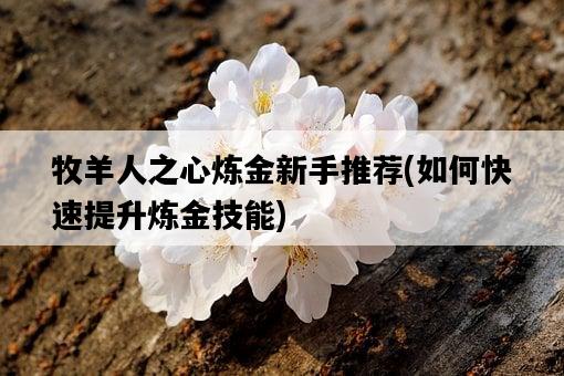 牧羊人之心煉金新手推薦，如何快速提升煉金技能-圖1