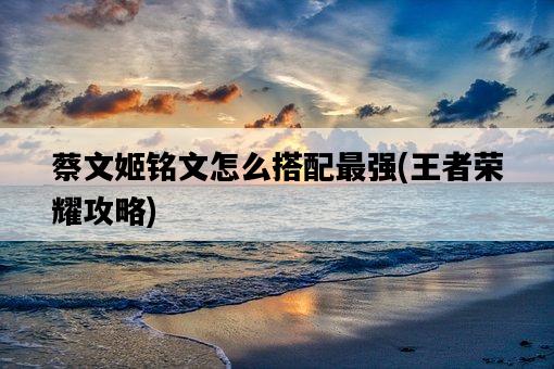 蔡文姬銘文怎么搭配最強，王者榮耀攻略-圖1
