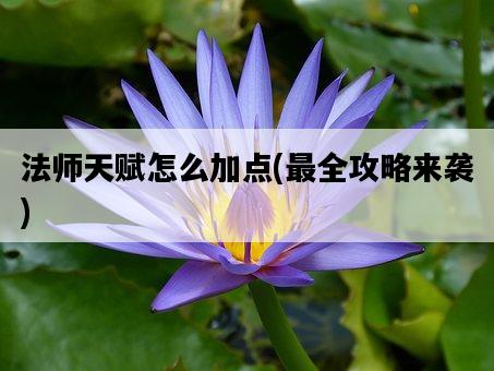 法師天賦怎么加點，最全攻略來襲-圖1