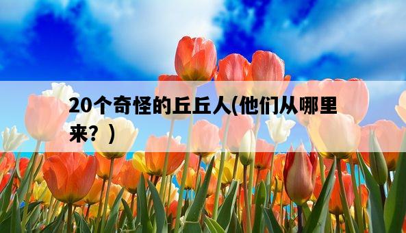 20個奇怪的丘丘人，他們從哪里來？-圖1