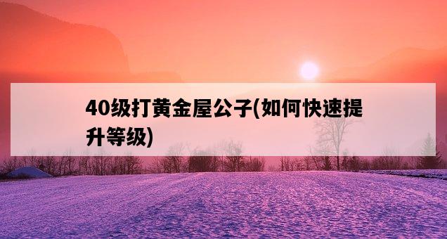 40級打黃金屋公子，如何快速提升等級-圖1