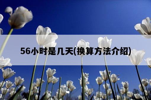 56小時是幾天，換算方法介紹-圖1