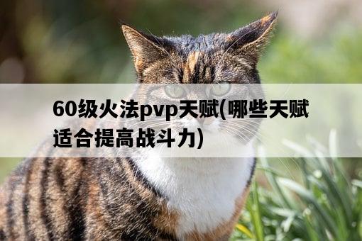 60級火法pvp天賦，哪些天賦適合提高戰斗力-圖1
