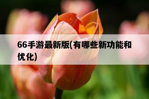 66手游最新版，有哪些新功能和優化-圖1