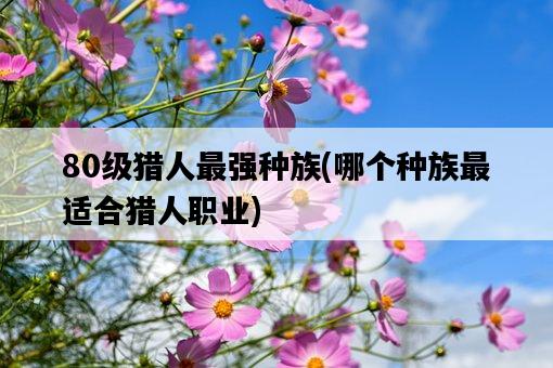 80級獵人最強種族，哪個種族最適合獵人職業-圖1