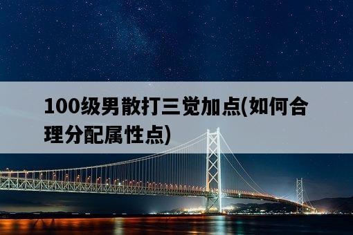 100級男散打三覺加點，如何合理分配屬性點-圖1