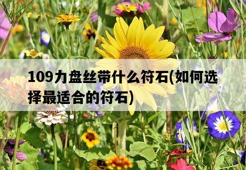 109力盤絲帶什么符石，如何選擇最適合的符石-圖1