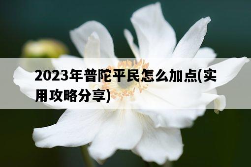 2023年普陀平民怎么加點，實用攻略分享-圖1