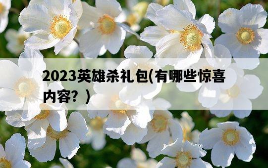 2023英雄殺禮包，有哪些驚喜內容？-圖1
